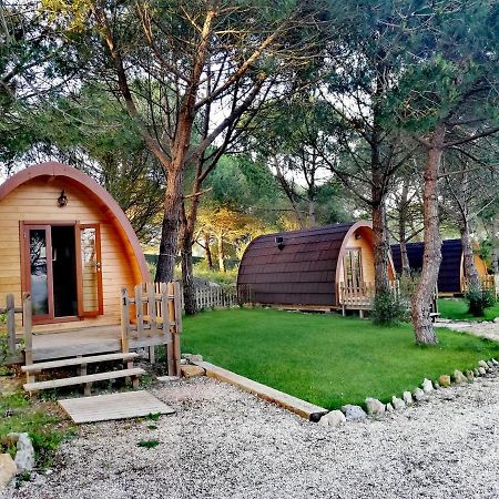 ホテル Glamping シントラ エクステリア 写真