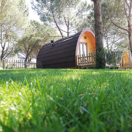 ホテル Glamping シントラ エクステリア 写真