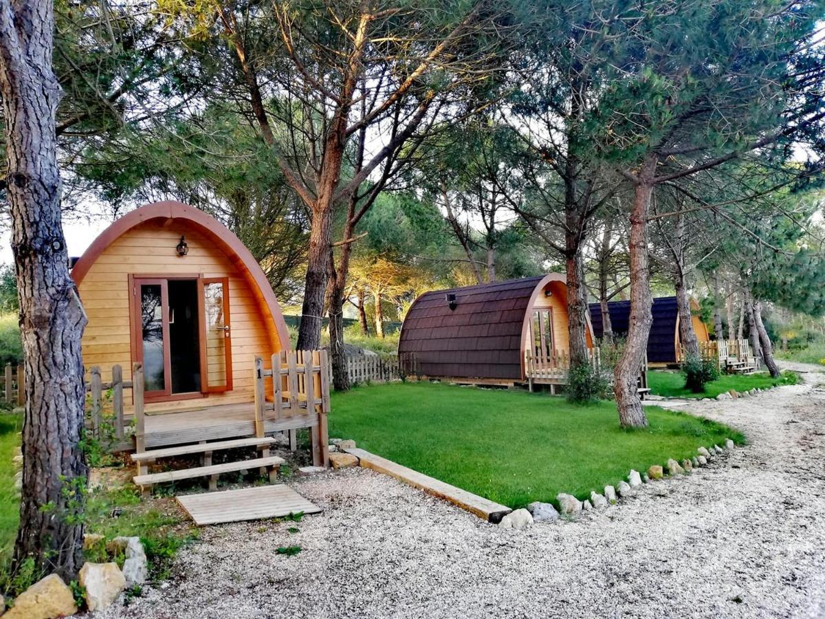 ホテル Glamping シントラ エクステリア 写真