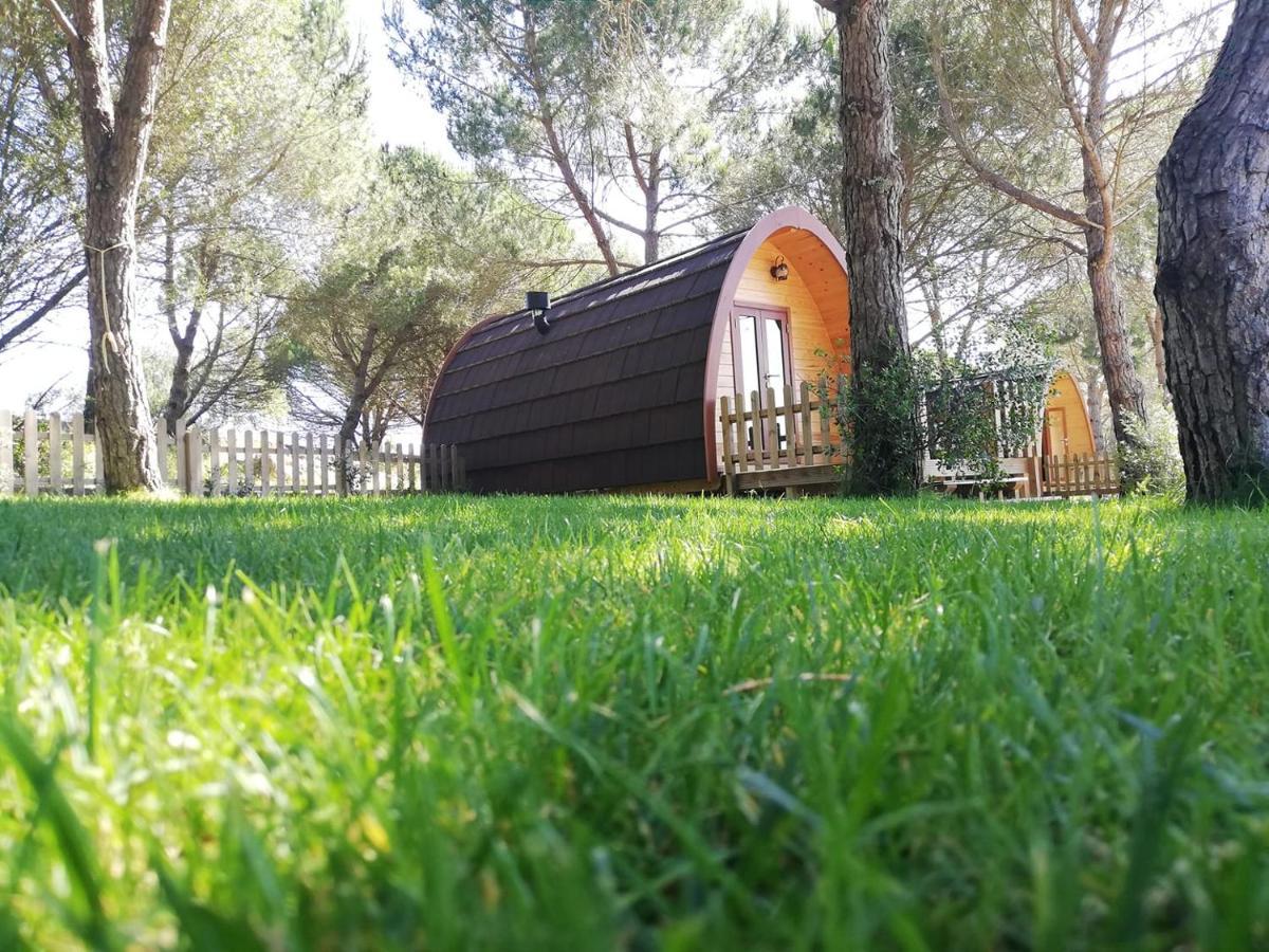 ホテル Glamping シントラ エクステリア 写真