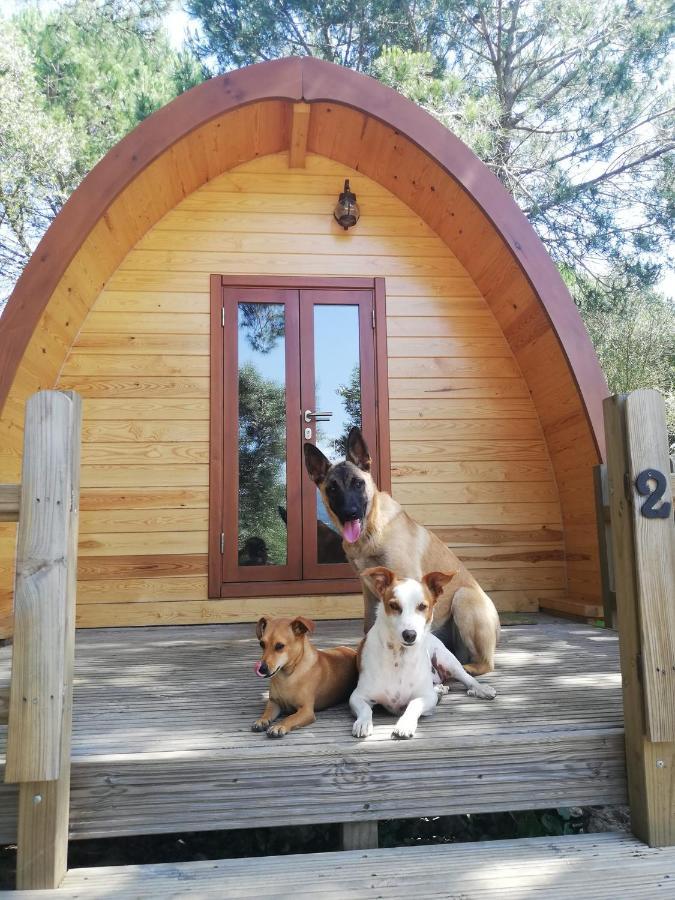 ホテル Glamping シントラ エクステリア 写真