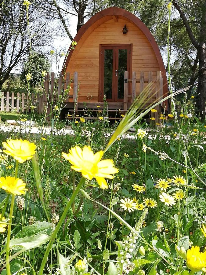 ホテル Glamping シントラ エクステリア 写真
