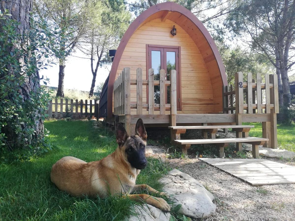 ホテル Glamping シントラ エクステリア 写真